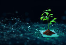 The Importance Of Green Computing: Understanding Its Significance - Climate Carbon