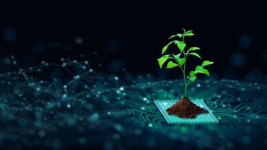 The Importance Of Green Computing: Understanding Its Significance - Climate Carbon