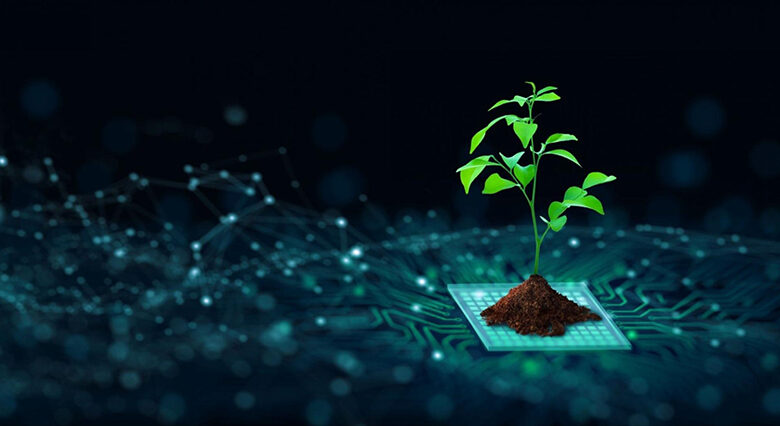 The Importance Of Green Computing: Understanding Its Significance - Climate Carbon