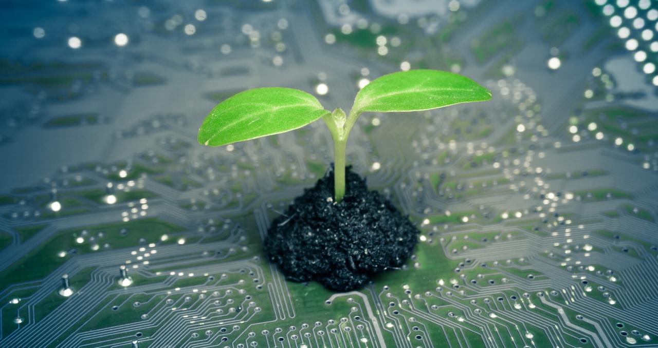 What Is Green Computing? | NVIDIA Blog